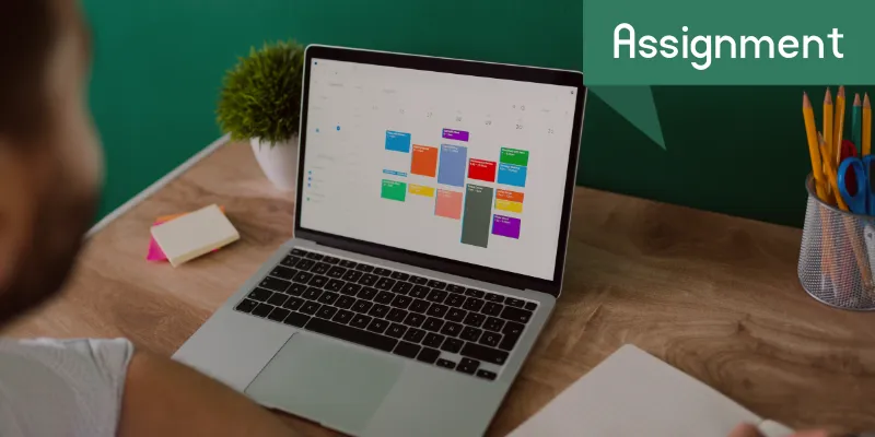 Assignment Work Without Investment in Pakistan