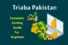 Triaba Pakistan – Complete Guide to Surveys, Login, and Earnings