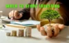 When to Start Investing: A Simple Guide for Beginners - Post Thumbnail